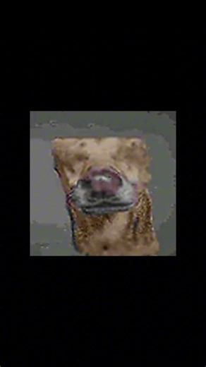 SCP Gryzt Kakashki (SCP-122)