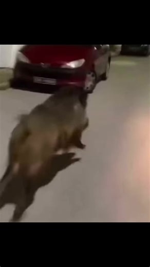 Part 1 | Meme Roulette #funny #compilation #meme #fyp #viral #humor #memestiktok #chaotic