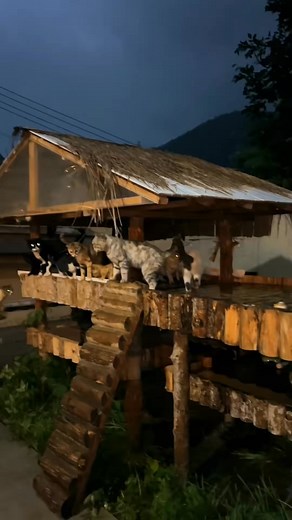 Explicitly Beautiful on Reels