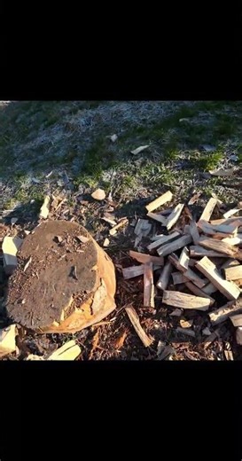 It Just Disintegrated! 😂 Axe Trick Leads to LOG EXPOLSION!