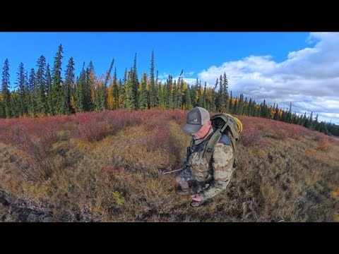 This Thing Was So Heavy It Shook The House When It Walked By The Window