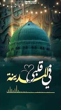 اناشيد اسلامية | قلبي في المدينه وجد السكينة بدون إيقاع | Qalbi Fil Madinah