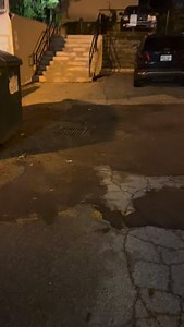 stream separator ii ‍⬛ #indieband #indiemusic #indierock #alternativerock #torontomusic #torontoband #indie #alternative #postpunk #emomusic #originalsong #songwriter #alternativeindie #alternativeindierock | Separator | Facebook