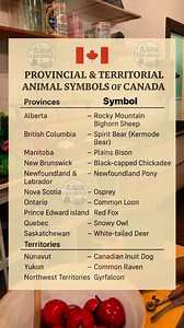 Provincial and Territorial animal symbols of Canada.🇨🇦 #canada #fblifestyle | G Ruth Dianne Castillo