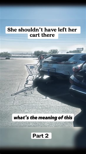She shouldn't have left her cart there #fyp | toddler shopping cart