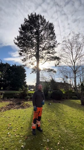 13K views · 108 reactions | Chipper warning and a Quick Look at what we’re up to #philipallentreesurgeon #philipallen #treesurgery #chipper #treesurgery #horticulture #arborist I use that term loosely | Phil Allen | Facebook