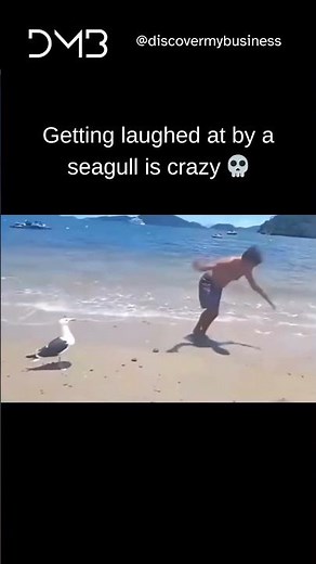 Getting Laughed at by a Seagull is Crazy 💀😂 | Funniest Animal Meme 2025