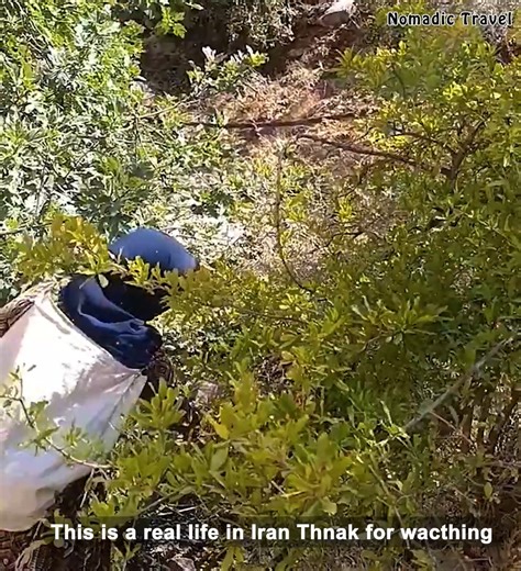 9.3K views · 128 reactions | mountains and nomadic women | Nomadic Travel | Facebook