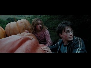 Harry Potter - Time Travel Scene