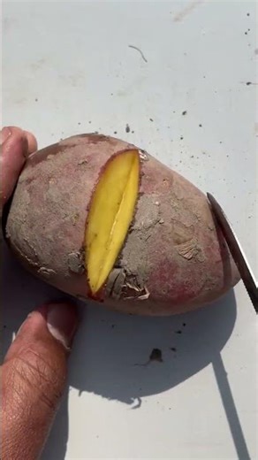 #fruit #fruitcultivation #fruitcutting #fruitfarming #cuttingskills #fruitgrowing #shorts#shortvideo