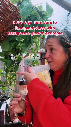 KEIKI paste is a plant magic trick, apply to dormant nodes to activate new growth and fill in bare plant vines and much more! #houseplants #indoorplants #plantcare #fyp #plantlovers