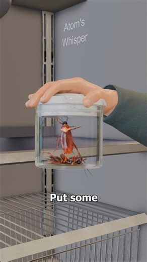 How Cockroach Cars are Made 🪳