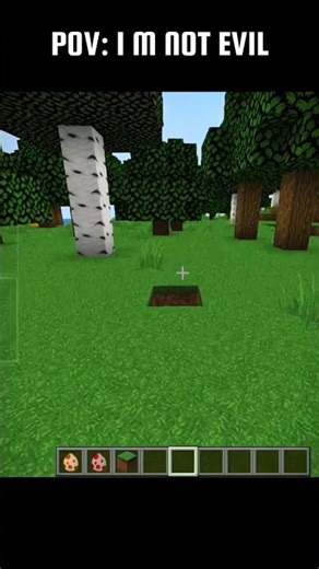 MINECRAFT FOX 🦊💀