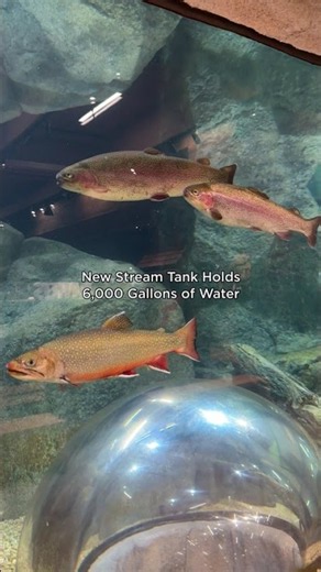 L.L.Bean Flagship Store Trivia