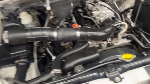 2019 GWM Steed 5 2.2 MPI Workhorse Pick Up Single Cab