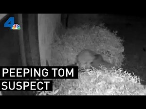 Caught on Camera: Homeowner Confronts a Peeping Tom | NBCLA