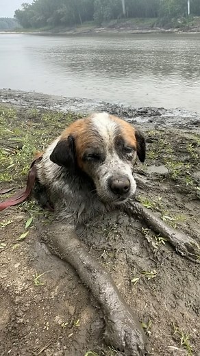 9.2K views · 375 reactions |  Read the full story below ⬇️...