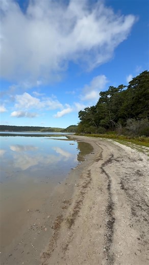 Nickerson State Park - Brewster, Massachusetts - Cape Cod - Video by: Mark TR Filteau September 2025 | Cape Cod, Massachusetts