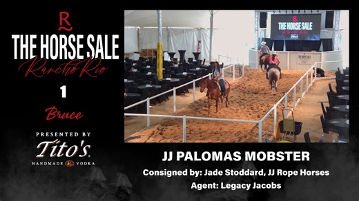 The Horse Sale Preview