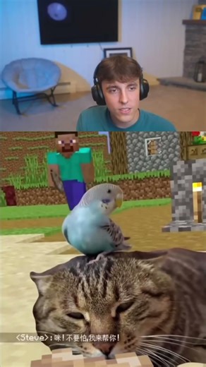 This Mod Adds 3D Animals To Minecraft