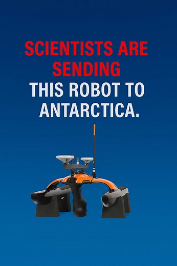 Innovative AUV Quadroin: Marine Animal Friendly Robotics