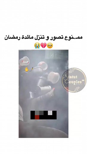 12K views · 531 reactions | Cheb Amine Tgv on Reels | Facebook