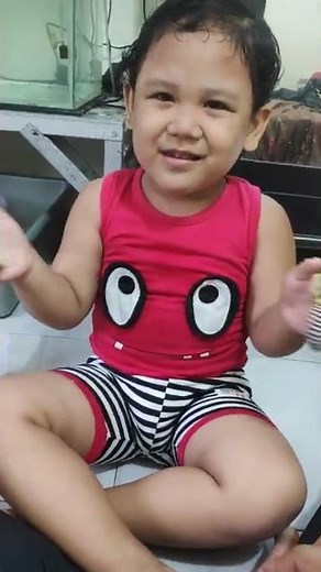 Cicak Cicak di Dinding