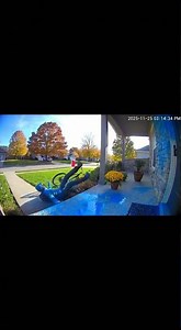 Ink Explosion Surprise on Porch 3