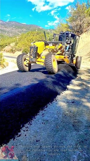 Professional material grading machine driving skills #shorts