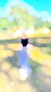 Bhojpuri mood 🔥 🔥#reels #instagram #bihari #bhojpuri | Pallavi Kushwaha