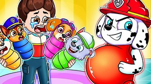448K views · 5.1K reactions | kids games Paw Patrol A Day in Adventure Bay VS Adventure On A Roll - Pups Daily Life - Fun Pet Kids Games | Adalki sfm | Facebook