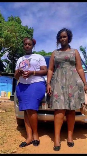 shannshann237 (@shannshann237)’s videos with original sound - DON GADGETS & VIDEO LIBRARY 💙