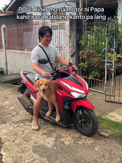 me after hearing Papa’s motorcycle: RIDES NA! 🛵🐶 #fyp #foryoupage #dog #goldenretriever #motorcycle