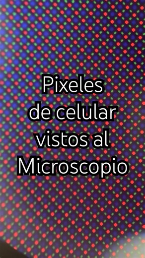 Pixeles de un celular vistos al microscopio #biologíayecología