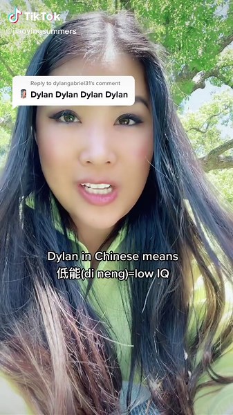 What Does DYLAN Mean in Chinese? Hilarious Roast by Funny Mom!