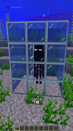 The Enderman Caused Its Own Death! 😲
