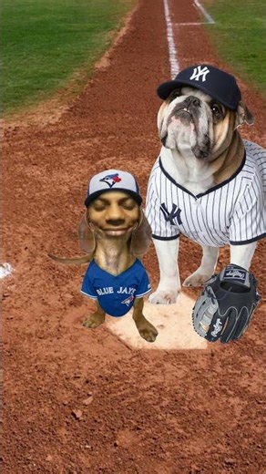 She Tried Celebrating Too Early (Bubbles Tries) #MLB #baseball #funnydog #comedy