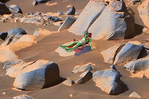 Cette photographie d'un alien faisant bronzette sur le sol martien affole la toile