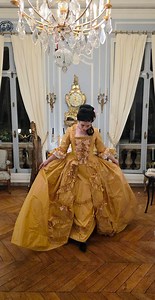 127K views · 5.4K reactions | My golden yellow silk taffeta robe a la...