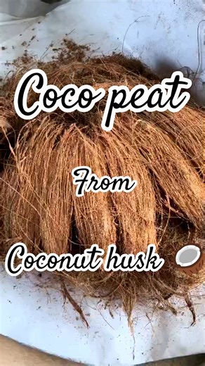 Turn coconut husk into rich coco peat 🌴✨ | 100% organic soil mix for healthy plants! | #CocoPeat