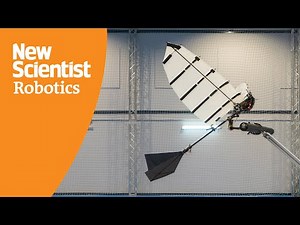 Watch this robot bird use a talon-like claw to land safely on a perch