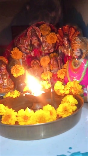 मेरे श्याम का जग दिवाना है 😍#shorts #youtubeshorts #shortsvideo #khatu #khatushyamji #trending