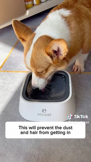 Get this No-Spill Water Bowl to eliminate puddles of mess on the ground!!🐶🐾