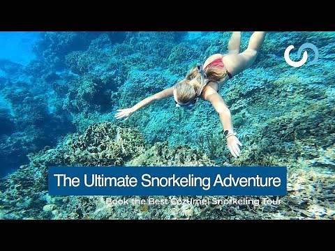 Cozumel Snorkel Center - The ultimate snorkeling adventure photo By Chema