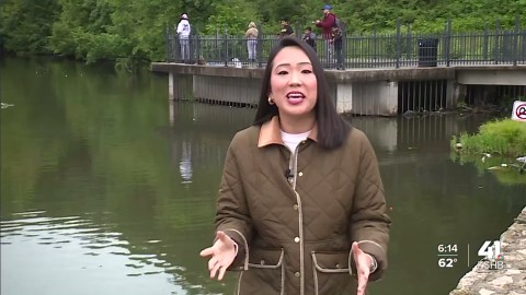 MDC's urban fish stocking program fills Kansas City-area lakes with channel catfish for anglers