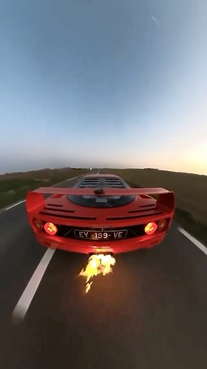 Machinistic® on Instagram: "Flamethrower mode : ON 🔥 Fantastic Ferrari F40 by @drivenslide #machinistic __ #ferrarif40 #f40 #ferrari #ferrariclub #drivetastefully"