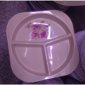 Partitioned Melamine Plate
