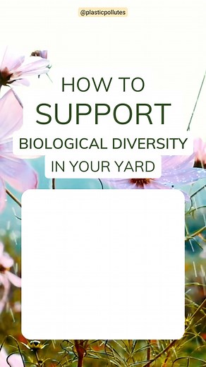 Synthetic plastic grass is a serious hazard to our environment and in turn, our health. So skip the toxic options to support biodiversity and try these instead: 🐝 🌍 🌱 Opt for natural, stronger grasses instead of plastic grass to support a strong foundation for life on your lawn. 🚫 Don't use toxic pesticides. 🌻 Add pollinator plants to your garden—think sunflowers or milkweed. This will attract birds, butterflies, and bees to your yard. 🌺 Try planting native plants, raingardens, and edible 