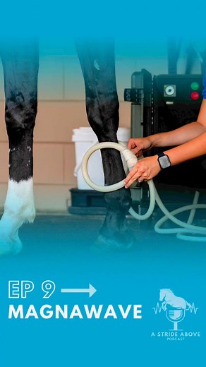 NEW EPISODE  In this episode you’ll learn about:  What MagnaWave...