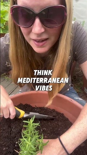 Plant Rosemary Now For Winter Use